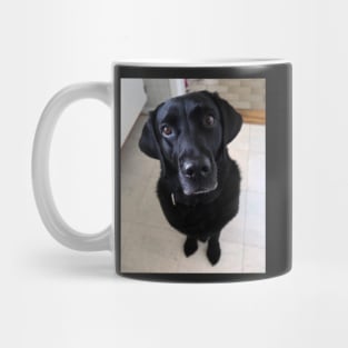 Sia 8 years old Labrador Mug